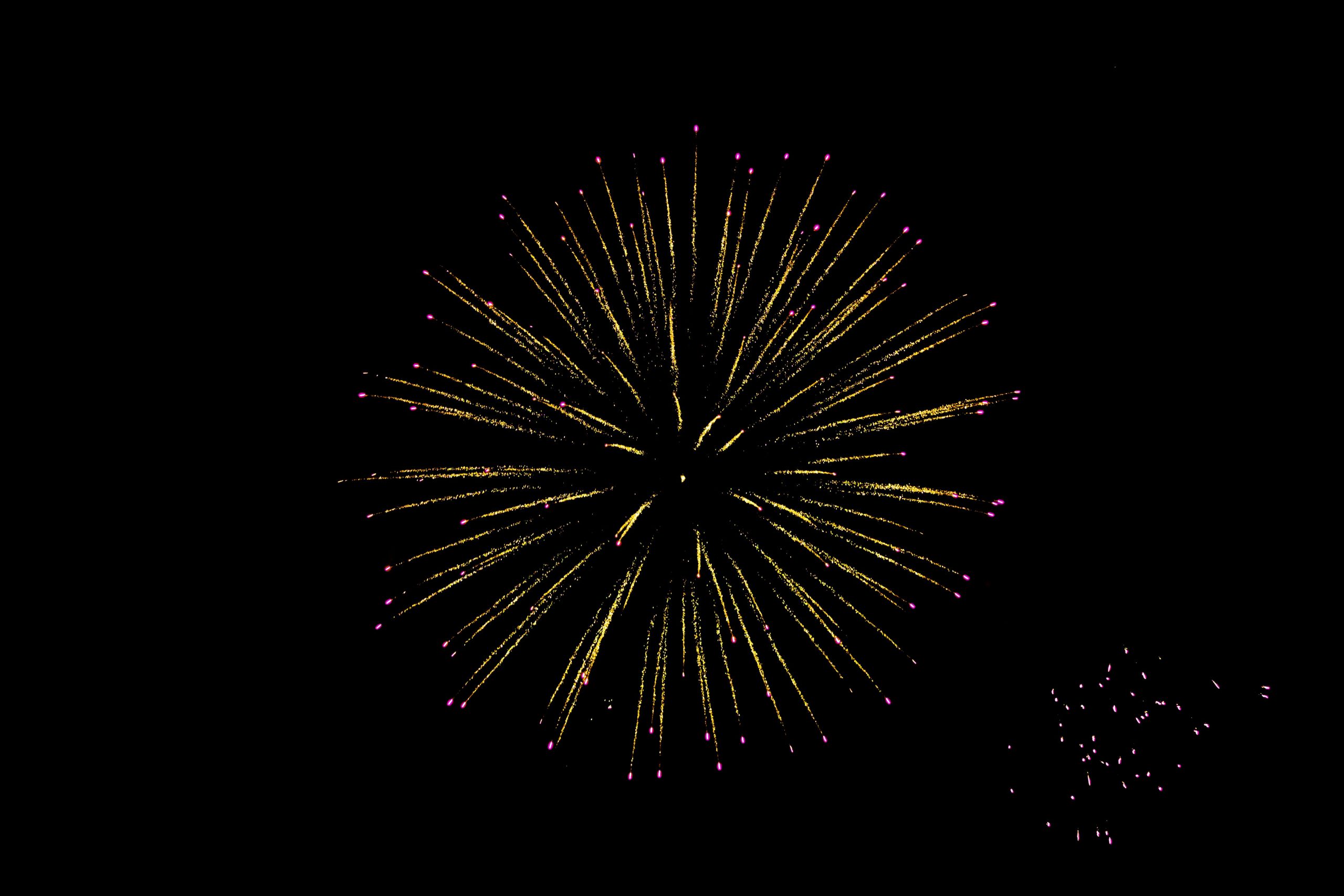 pexels mi1kel 1259624